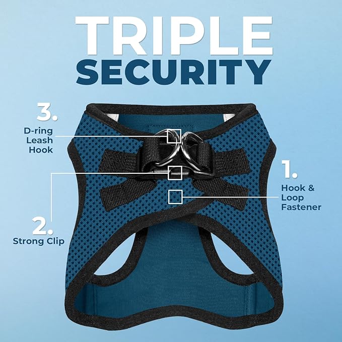 Voyager Step-in Air All Weather Mesh Harness and Reflective Dog 5 ft Leash Combo with Neoprene Handle, for Small, Medium and Large Breed Puppies by Best Pet Supplies - Blue/Black Trim, X-Small