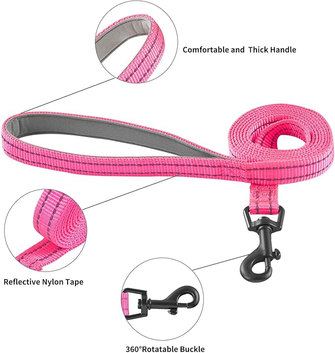 Hipubby Dog Harness and Leash Set, No Pull Soft Mesh Puppy Harness for Small Medium Dogs, Cats - Step in Reflective Breathable Lightweight Vest Harness for Walking, Training - Rose Red, S