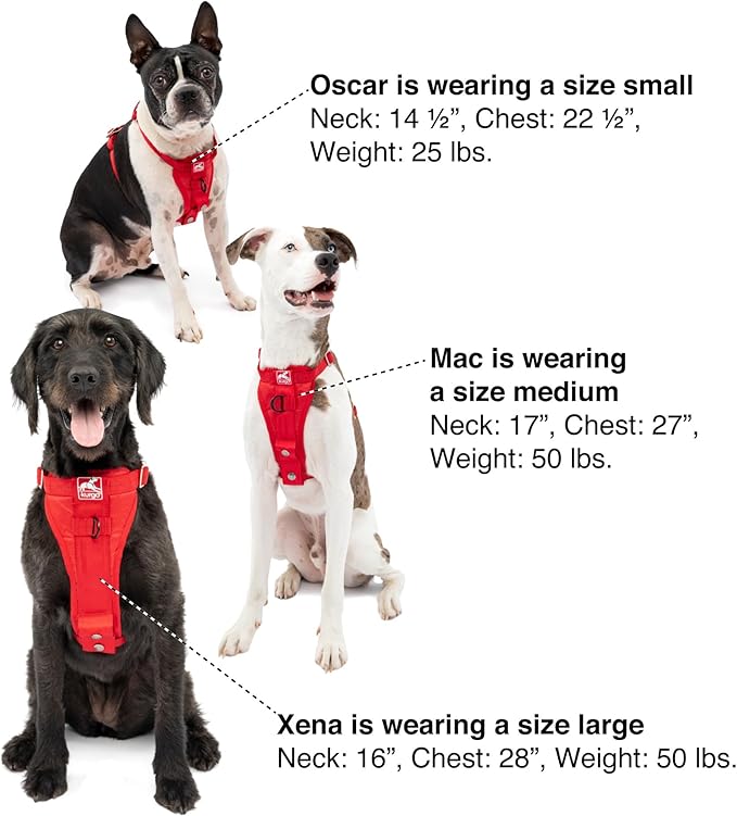 Kurgo Enhanced Strength Tru-Fit Dog Car Harness - Pet Travel Safety Harness - Crash Test Certified Fit - Five Point Adjustment - Secure Buckle - Padded Chest - Charcoal - Small