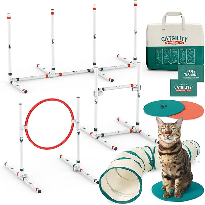ALBERT & MIA CATGILITY Cat Agility Equipment + Clicker Trainer Guide – Exercise Agility Course – Jumping Hurdles & Hoop, Tunnel (Small Dog & Cat Training) Clicker Training Obstacle Course for Cats