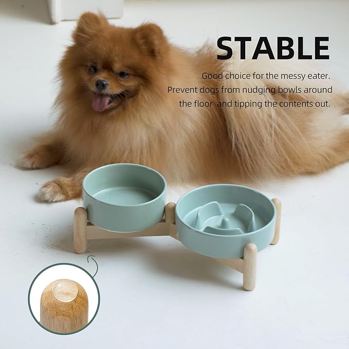 Ceramic 0.9 Cup Raised Slow Feeder Dog Bowl Set, Elevated 5.1inch Water Bowl and 6.1inch Puzzle Slow Pet Food Dish with Wooden Stand for Small Dog and Cat(2 x Light Green+ Stand)
