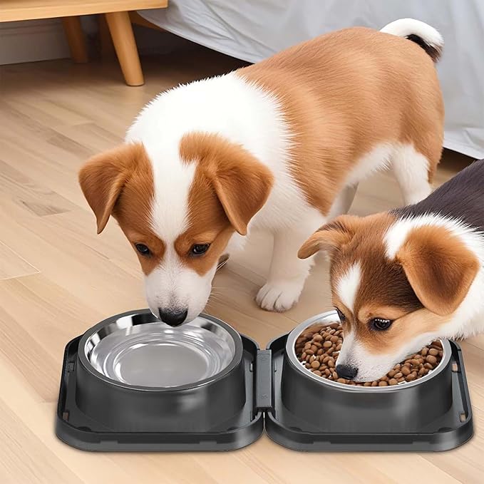 Set of 2 Stainless Steel Dog Food and Water Bowl with Puzzle Dish, Freely Combinable Feeding Set for Dogs Cats, Spill Proof Neater Dog Bowls, Pet Feeder Bowl for Puppy Small Breeds