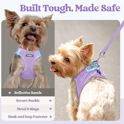 rabbitgoo Dog Harness Small Sized and Leash Set, Step in Soft Light Puppy Vest, Breathable Mesh Pet Harness, Reflective for Safe Easy Walking, Light Purple XS