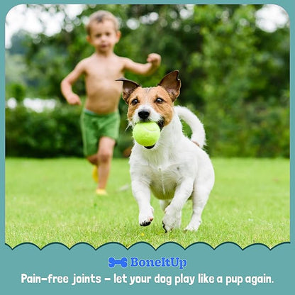 BoneItUp Soft Dog Joint Support Supplement Chews for Aging, Large & Overweight Pets - Glucosamine, Chondroitin, MSM & Omega - Advanced Hip & Joint Supplement for Dogs - Pet Bone Support Treats (90 Ct)