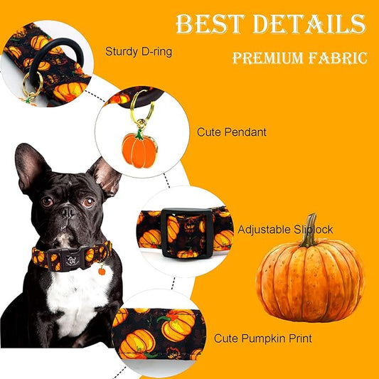 Elegant little tail Halloween Dog Collar, Pumpkin with Maple Leaf Print Fall Pet Collars Cotton Soft Sturdy Puppy Collars Holiday Female Adjustable Collar for X-Small Puppy
