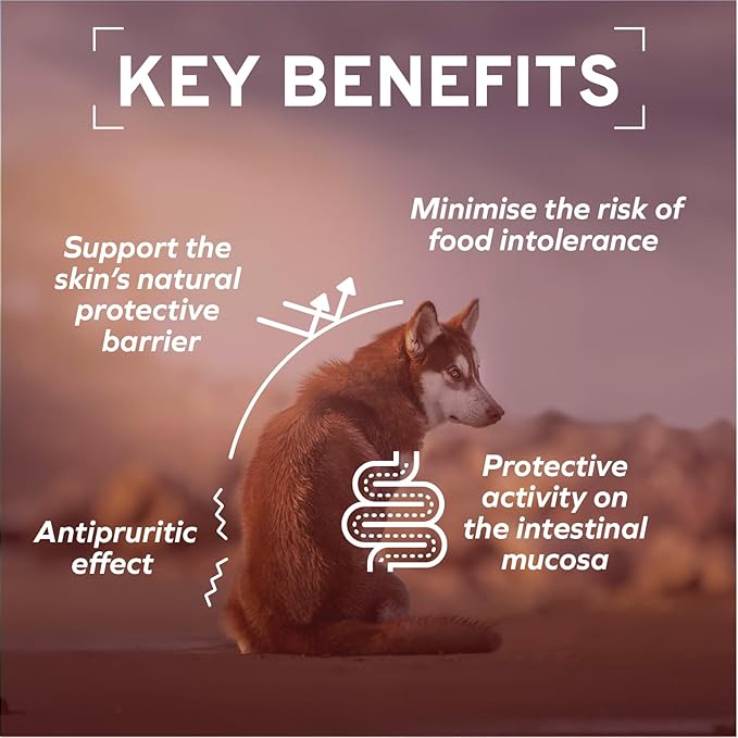 Forza10 - Dog Food, Dermo Dry Food for Itchy Skin, Sensitive Stomach & Coat Health, Limited Ingredient Dog Food, Non-GMO, Fish Flavor, Made in Italy (8.8 lb)