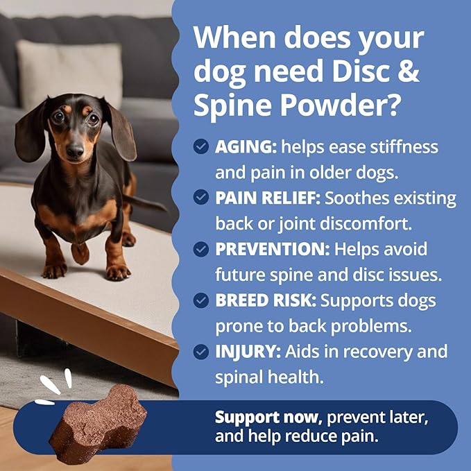 Under the Weather Disc & Spine Health Powder for Dogs | Spinal Disc Support | Vet Formulated Dog Joint Supplement for Long-Backed Breeds | IVDD Dog Supplies | Chicken Flavor Packets - 30 Day Supply S