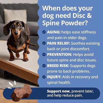 Under the Weather Disc & Spine Health Powder for Dogs | Spinal Disc Support | Vet Formulated Dog Joint Supplement for Long-Backed Breeds | IVDD Dog Supplies | Chicken Flavor Packets - 30 Day Supply M