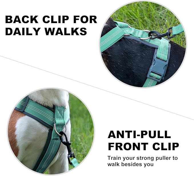 Plutus Pet No Pull Dog Harness, Adjustable Nylon Harness with Soft Padding, Reflective and Heavy Duty Dog Harness for Small, Medium, Large Dogs(Teal, XL)
