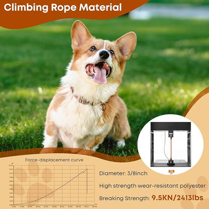 (2 Pack) Long Dog Leash for Dog Training 30FT Lockable Hook Heavy Duty Dog Lead Tie Out Rope for Large Medium Small Dogs Outside Walking, Playing, Camping, or Yard (Black&Orange)