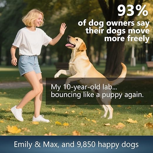 Glucosamine for Dogs - 150 Soft Chews, Hip & Joint Supplement with MSM, Chondroitin, Turmeric – Joint Support for Dogs Chicken Flavor – Vet Formulated – 2-Month Supply