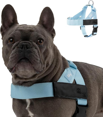 DF Co. Dog Harness | Chafe Resistant Webbing, Adjustable Neck & Chest, and Heavy Duty D-Ring | Sturdy, Comfortable, Easy to Use | Sky Blue, Size S