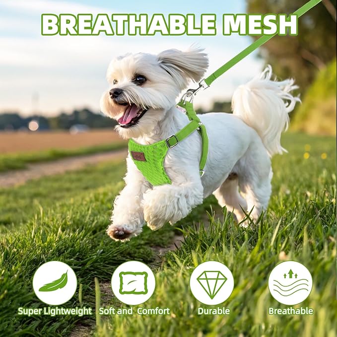 PUPTECK Dog Harness and Leash Set Small Sized, Step-in Cute Puppy Harness, Soft Lightweight Padded Vest, Escape Proof No Pull Pet Harnesses Easy for Walking, Green, S