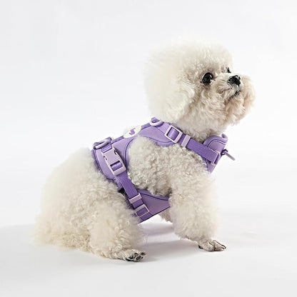 HNS1001H Arlo Small Adjustable Soft Padded No Pull Pet Harness with 3 Buckles and 3 Leash Clips, Bramble