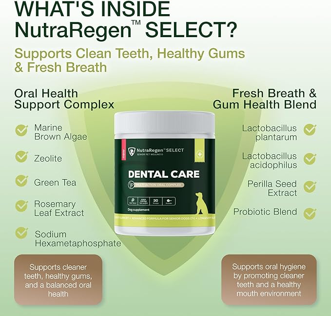 Select Senior Dog Dental Powder 30 Servings | Beef Flavored Dog Breath Freshener for Oral & Gum Health | Pet Dental Powder Helps Manage Plaque & Tartar Buildup and Chewing Issues | 4.6 Oz