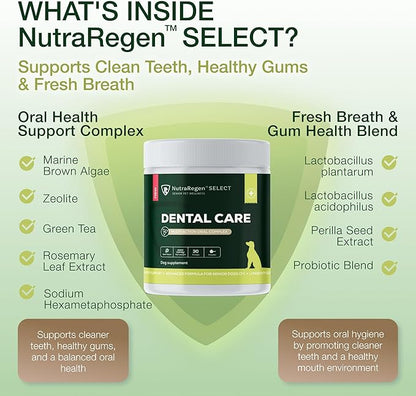 Select Senior Dog Dental Powder 30 Servings | Beef Flavored Dog Breath Freshener for Oral & Gum Health | Pet Dental Powder Helps Manage Plaque & Tartar Buildup and Chewing Issues | 4.6 Oz