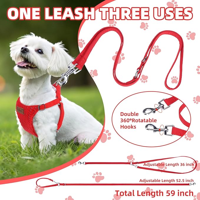 PUPTECK Dog Harness and Leash Set Small Sized, Step-in Cute Puppy Harness, Soft Lightweight Padded Vest, Escape Proof No Pull Pet Harnesses Easy for Walking, Red, XXS