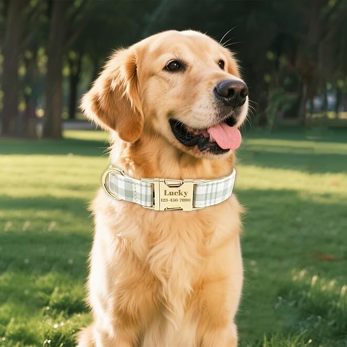 Custom Personalized Dog Collars with Pet Name/Phone Number Engraved Gold Metal Buckle - Soft Adjustable Collar for Small Medium Large Dogs (Plaid)