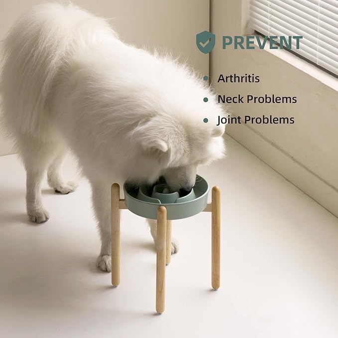 Ceramic 3.2 Cup Raised Slow Feeder Dog Bowl Set, Elevated Bowl with Wooden Stand for Large Dog, 9.5inch Puzzle Slow Pet Food Dish, Anti-Gulping(Light Green, Single Bowl+ Stand)