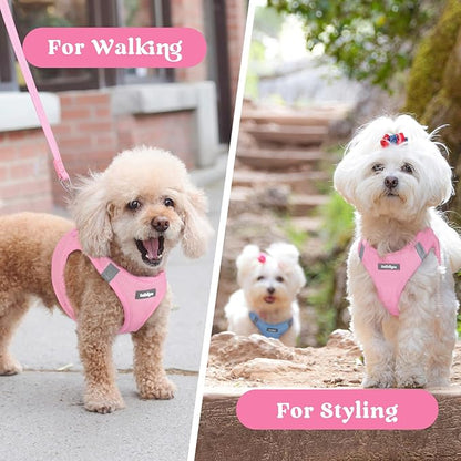 rabbitgoo Small Dog Harness, Step-in Soft Mesh Puppy Vest with Safety Buckle, Breathable Reflective Pet Harness for Small Sized Dogs, Light Pink M