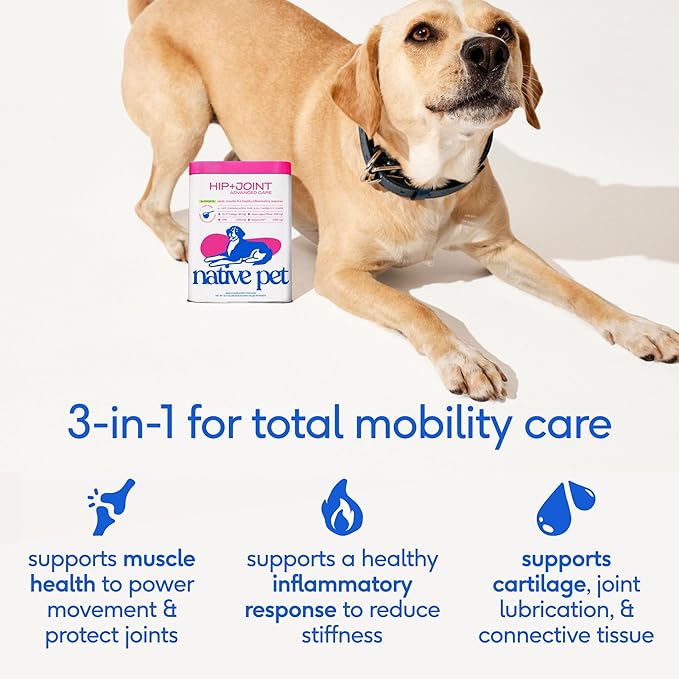 Native Pet Advanced Care - Hip & Joint Supplement for Dogs - Supports Joints, Cartilage, Muscles & Anti-Inflammatory with HMB, UC-II Collagen, Green Lipped Mussel & Hyaluronic Acid - 60 Scoops