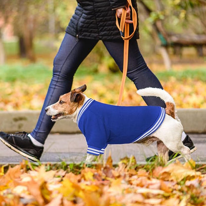 Dog Sweaters for Large Dogs, Brushed Fleece Dog Sweater Baseball Jacket Large Pet Sweater Clothes Soft Warm Boy Girl Pet(Blue-XL)