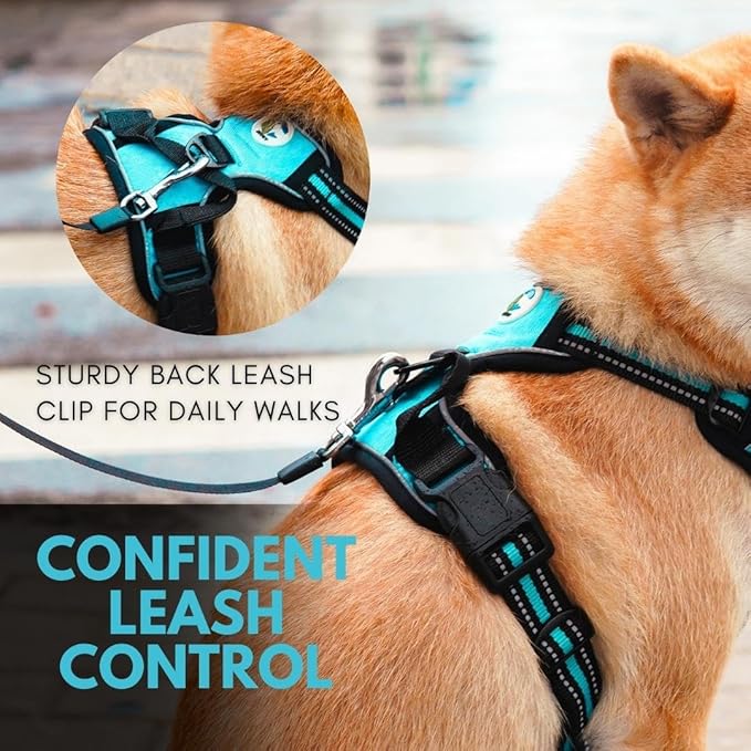 Ziggy Pet Dog Harness Adjustable Nylon Mesh Vest with Leash Clips (Blue, Large)
