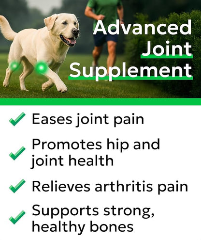 Glucosamine Chondroitin Dog Hip & Joint Supplement - Joint Pain Relief - Hip & Joint Chews for Dogs - Joint Support Large Breed - Senior Doggie Vitamin Pills Joint Health - (240 Treats - Peanut Butte)