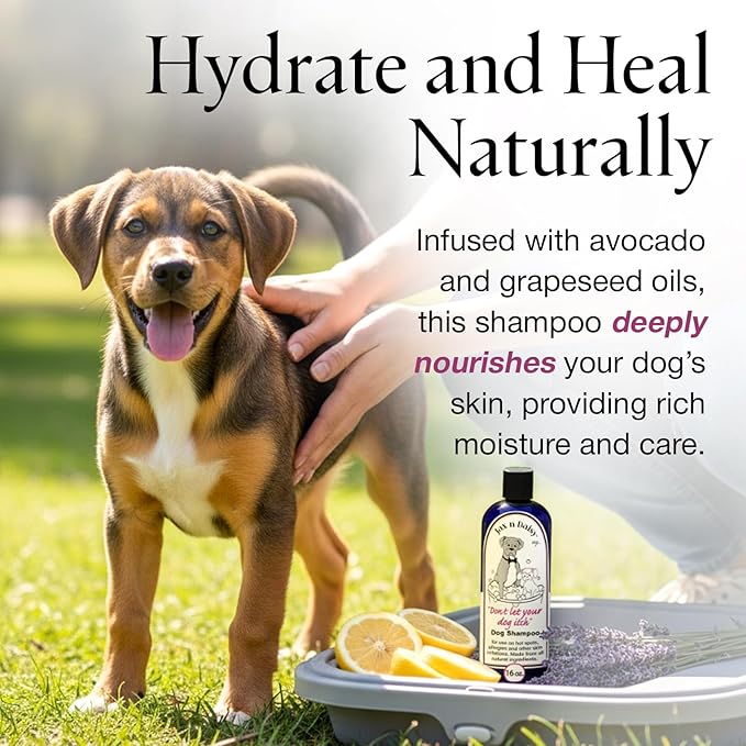 Jax n Daisy Dog Shampoo - Gentle and Effective Allergy and Sensitive Skin Shampoo for Dogs - Eliminates Odors, Fleas, and Soothes Itchy Skin - Perfect for Puppies