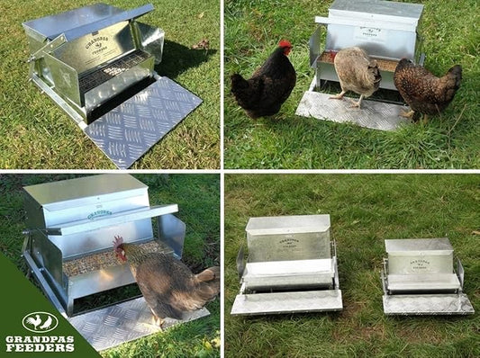 Grandpas Feeders Automatic Chicken Feeder - 20 lbs No Waste Poultry Feeder, Rat Proof & Rodent Proof Treadle Chicken Feeder, Galvanized Steel with Lid, Feeds 6 Chickens up to 10 Days