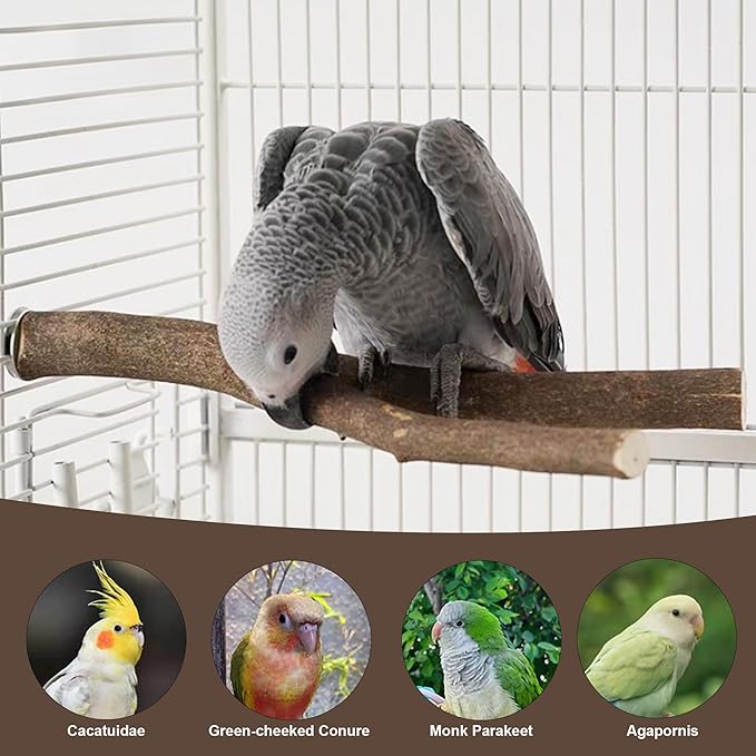 6 PCS Bird Perch Set, Natural Birch Wood Straight & Forked Perches with Platforms for Parakeets, Cockatiels, Conures, Lovebirds - Cage Accessories for Climbing & Exercise