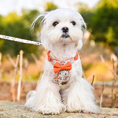 PUPTECK Dog Harness and Leash Set Small Sized, Step-in Cute Puppy Harness, Soft Lightweight Padded Vest, Escape Proof No Pull Pet Harnesses Easy for Walking, Flower Orange, XXS