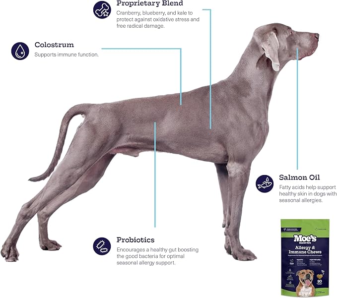 Moe’s Allergy and Immune Chews for Dogs – 90ct Soft Dog Allergy Supplement Bites for Itchy Skin, Seasonal Allergies and Skin Health – Vet-Formulated (Savory Chicken)