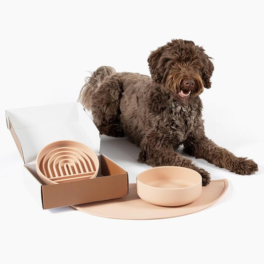 Should We Go? Complete Pet Feeding Set: Slow Feeder & Water Bowl with Spill-Proof Silicone Mat - Ideal for Small to Medium Dogs, Non-Slip, Easy Clean, Raised Edges, Durable Silicone - Blush