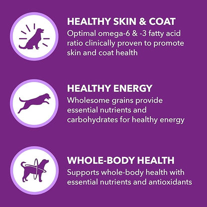 IAMS Advanced Health Skin & Coat Adult Dry Dog Food Chicken and Salmon Recipe, 36 lb. Bag