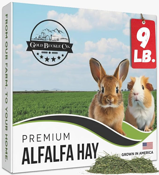Gold Buckle Co 9lb Farm Fresh, USA Grown, Organic Alfalfa Hay for Rabbits, Guinea Pigs, Chinchillas, Goats, Hamsters & Ferrets - Rabbit Food Rich in Protein & Fiber - Just Dried, Hand-Selected