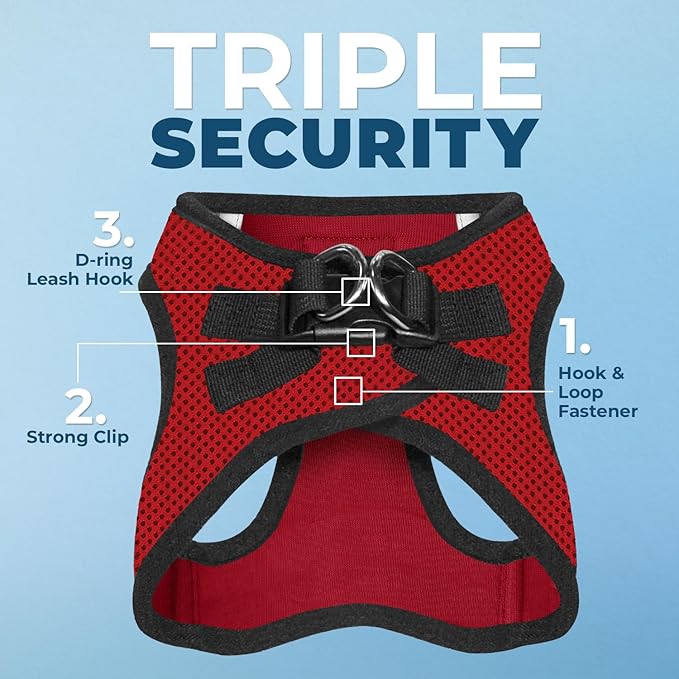 Voyager Step-in Air All Weather Mesh Harness and Reflective Dog 5 ft Leash Combo with Neoprene Handle, for Small, Medium and Large Breed Puppies by Best Pet Supplies - Red/Black Trim, Large