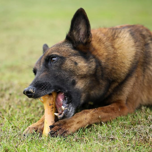 Tikaton Indestructible Dog Chew Toys for Aggressive Chewers, Chicken Flavor Durable Dog Teething Chew Toys Bones for Large/Medium/Small Puppies