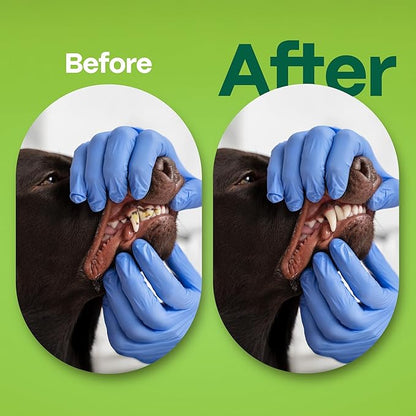 DOCO Dog Teeth Cleaning Wipes Dental Finger Wipes for Cats & Dogs Remove Plaque & Tartar, Freshen Breath, No Rinse, Easy & Effective Pet Tooth Cleaning Kit for Oral Care (Grapefruit Flavour, 50 Count)