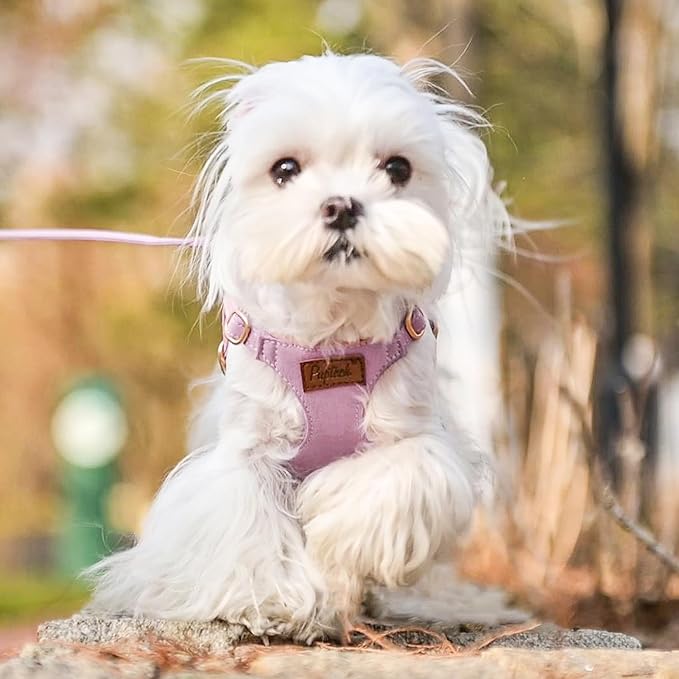 PUPTECK Dog Harness and Leash Set Small Sized, Step-in Cute Puppy Harness, Soft Lightweight Padded Vest, Escape Proof No Pull Pet Harnesses Easy for Walking, Purple, XS