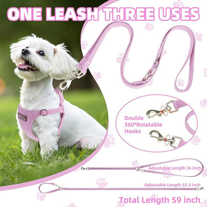 PUPTECK Dog Harness and Leash Set Small Sized, Step-in Cute Puppy Harness, Soft Lightweight Padded Vest, Escape Proof No Pull Pet Harnesses Easy for Walking, Purple, S