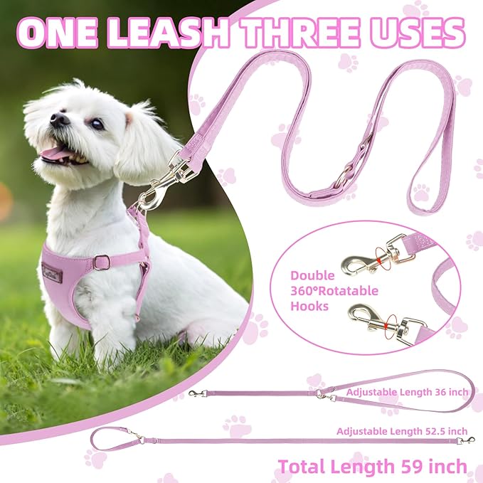 PUPTECK Dog Harness and Leash Set Small Sized, Step-in Cute Puppy Harness, Soft Lightweight Padded Vest, Escape Proof No Pull Pet Harnesses Easy for Walking, Purple, XXS