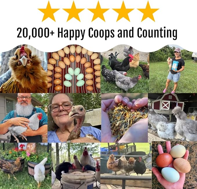 Buff Clucks Herb Supplement for Backyard Chickens - Natural Chicken Treats, Poultry Feed Botanical Mix, Plant-Based Coop Snacks for Daily Wellness, Feather Quality, Egg Production, USA (5 LB)