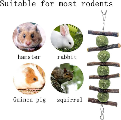 MYYZMY 3 Pcs Bunny Chew Toys, Rabbit Chew Toys for Teeth Grinding, Natural Organic Apple Wood Stick for Improve Rabbits Guinea Pigs Hamsters Dental Health