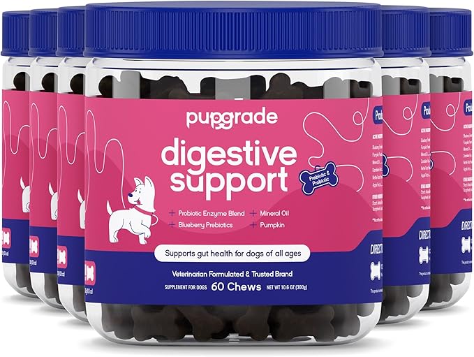 PupGrade Digestive Support Chews for Dogs - Prebiotic and Probiotic Supplement with Enzyme Blend - Upset Stomach, Diarrhea, Bowel, and Immune Support - Pumpkin, Blueberry, Mineral Oil - 360 Soft Chews