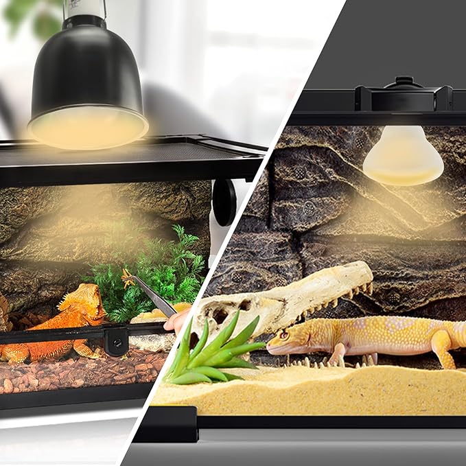 LUCKY HERP Heat Lamp Bulbs - 150W Reptile Heat Lamp 2 Pack, Daylight Basking Heat Lamp Bulbs for Reptile, UVA Heat Light Bulb for Reptiles, Amphibians, Bearded Dragons, Lizards, Turtles, Chickens