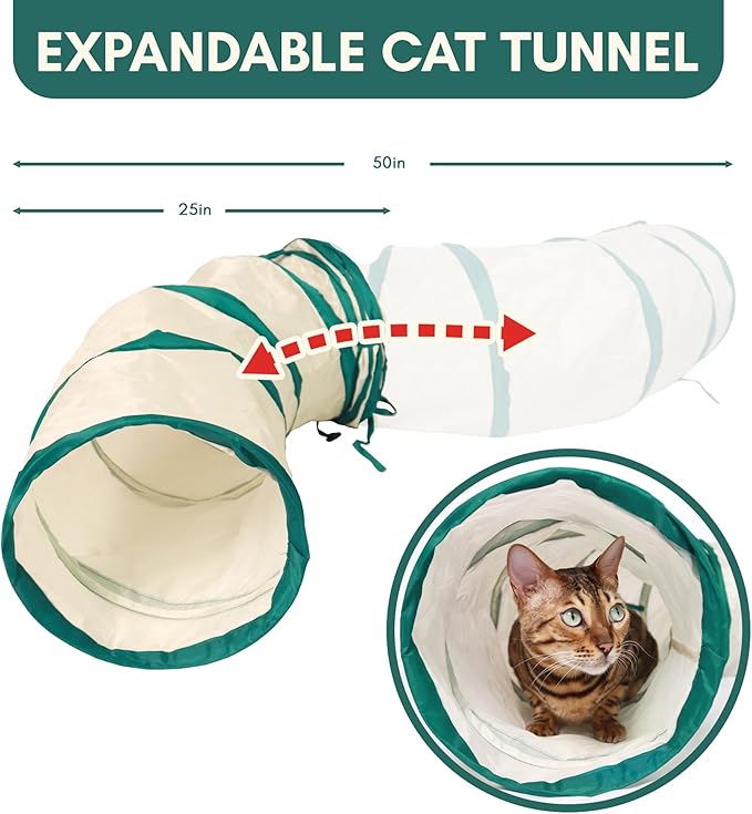 ALBERT & MIA CATGILITY Cat Agility Equipment + Clicker Trainer Guide – Exercise Agility Course – Jumping Hurdles & Hoop, Tunnel (Small Dog & Cat Training) Clicker Training Obstacle Course for Cats