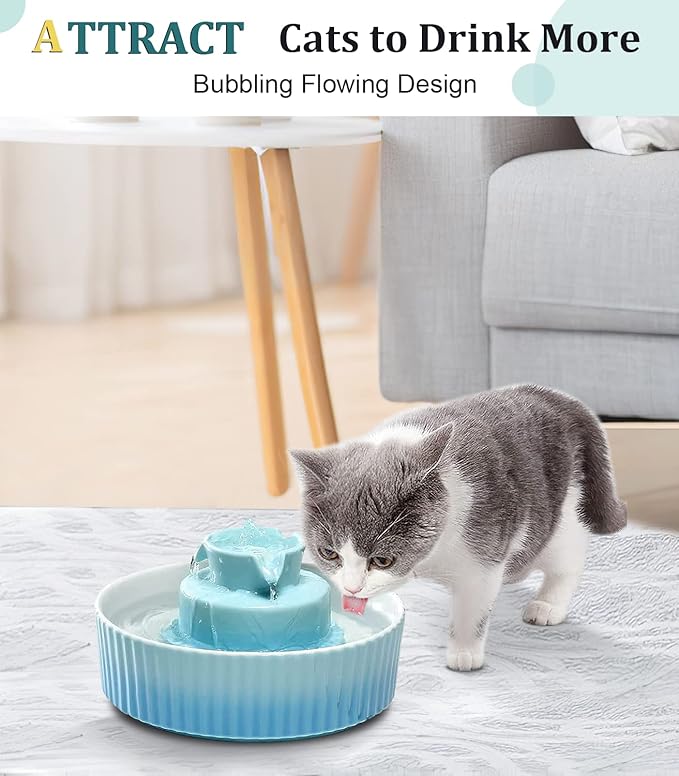 Ceramic Cat Water Fountain, Ceramic Pet Fountain, 2.1 L Drinking Fountains Bowl for Cats and Dogs with Replacement Filters and Foam(Sky Blue)