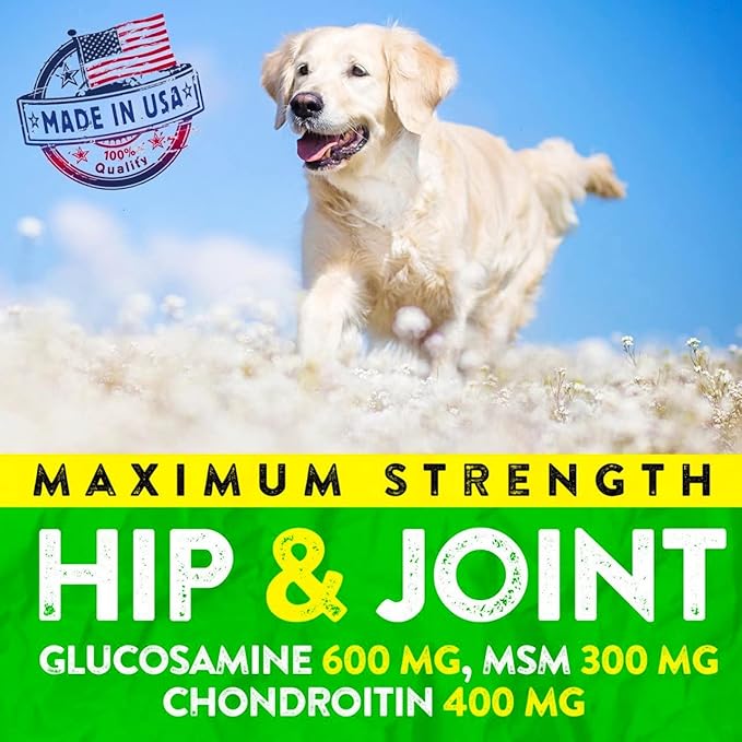 Hemp Hip and Joint Supplement for Dogs - Glucosamine for Dogs - 170 Dog Joint Pain Relief Treats - Chondroitin, Hemp Oil, MSM - Mobility & Flexibility Support - Advanced Care Health - Made in USA