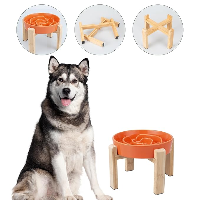 Elevated Slow Feeder Dog Bowl - Puzzle Maze Dish with Bamboo Stand - Raised Ceramic Food Bowl for Medium and Large Dogs - 8.8 Inch - Orange